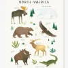 Affiche Animaux D’Amérique Du Nord Living Earth LILIPINSO Marron – Lilipinso 8